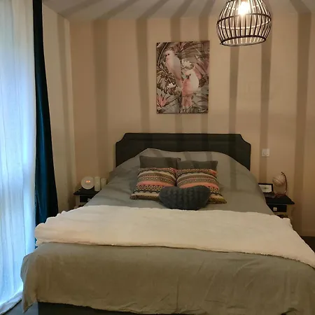 Charmant 65m2 Terrasse 40m2 Balcon 10m2 Parking Prive Couvert * Bayonne